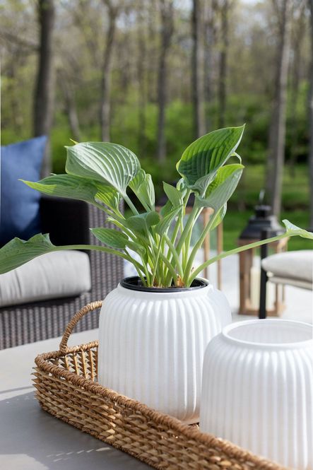 SHOP THE LOOK: Adrien Cachepot - Large, Adrien Cachepot - Medium, Natural Woven Palm Tray