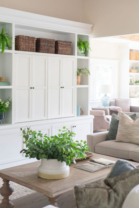 Home Reveal | LakeView Part I