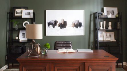 Work & Play | A Transitional Office & Lounge Update
