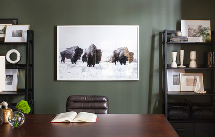 Work & Play | A Transitional Office & Lounge Update
