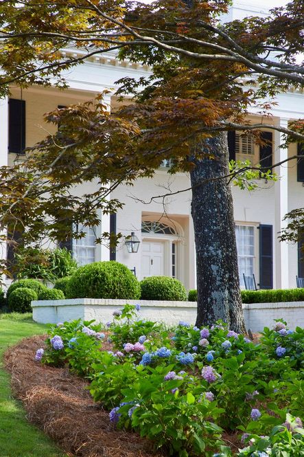 Landscape Design by Falkner Gardens | Photo by Jean Allsopp