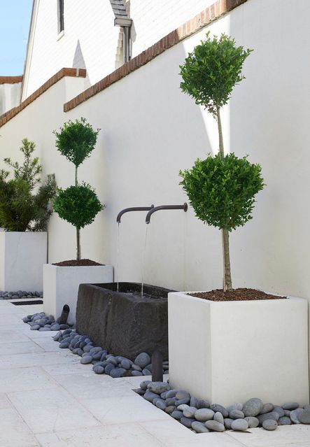 Landscape Design by Falkner Gardens | Photo by Jean Allsopp