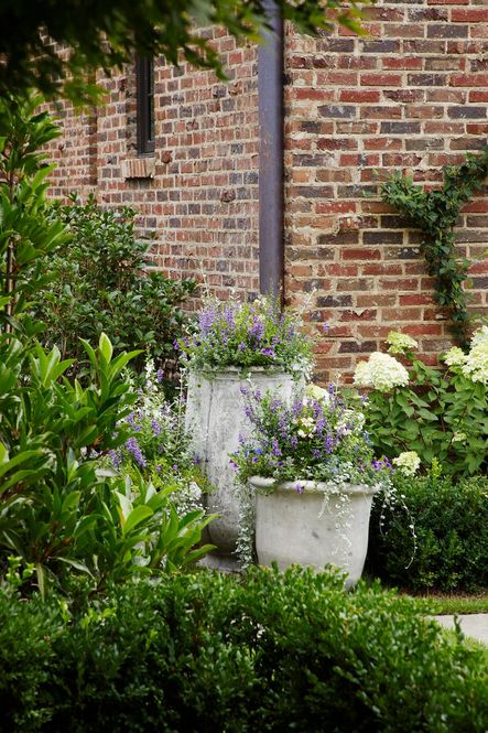 Landscape Design by Falkner Gardens | Photo by Jean Allsopp
